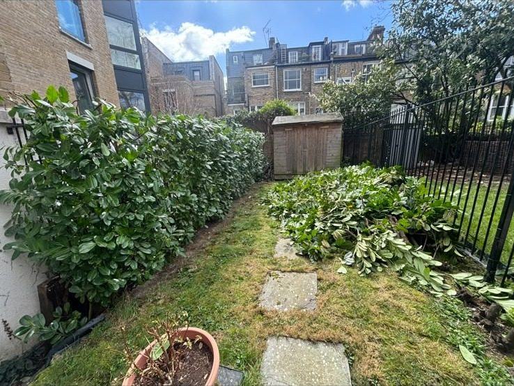 Overgrown side garden being cleared