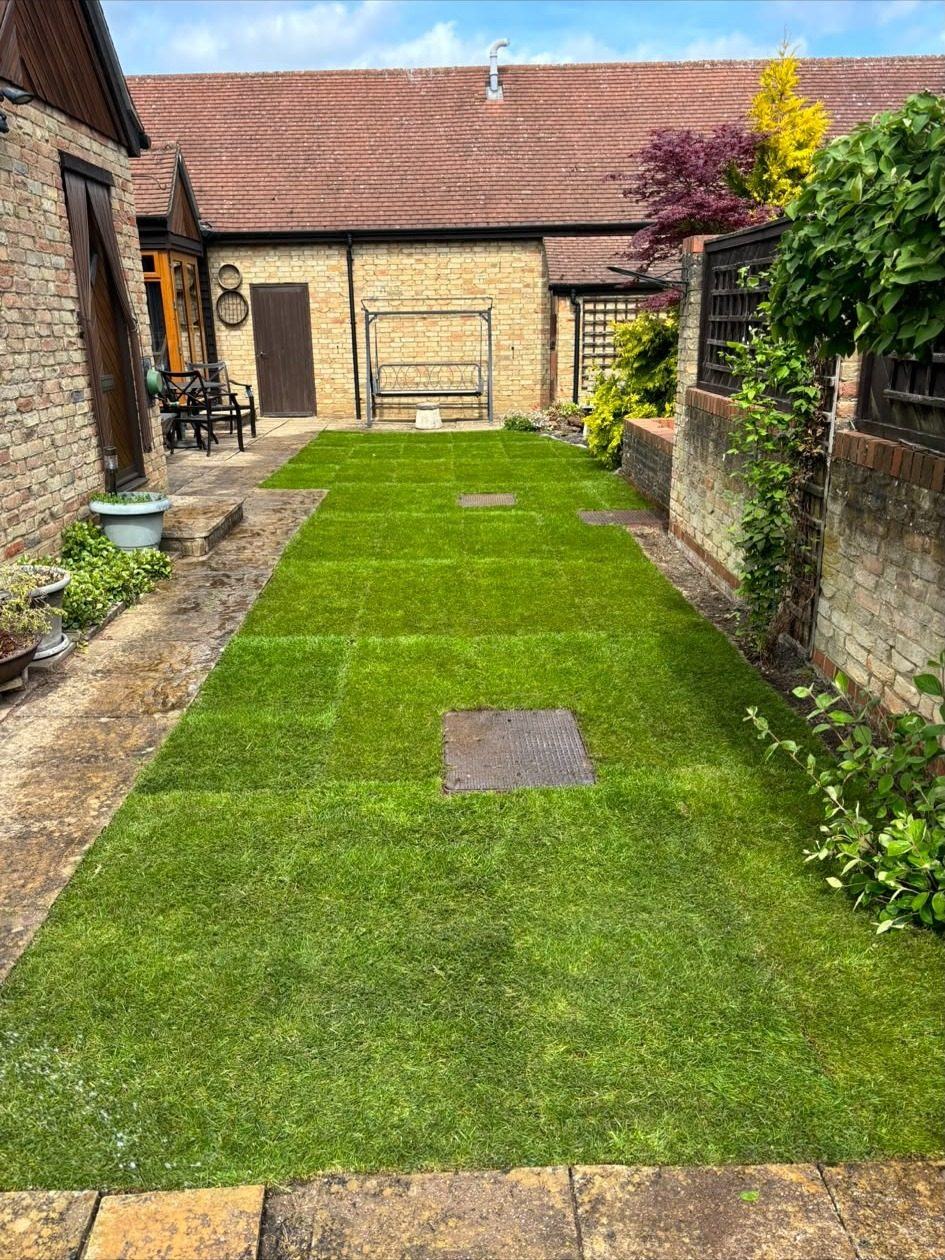 Lawn laid around stepping stones